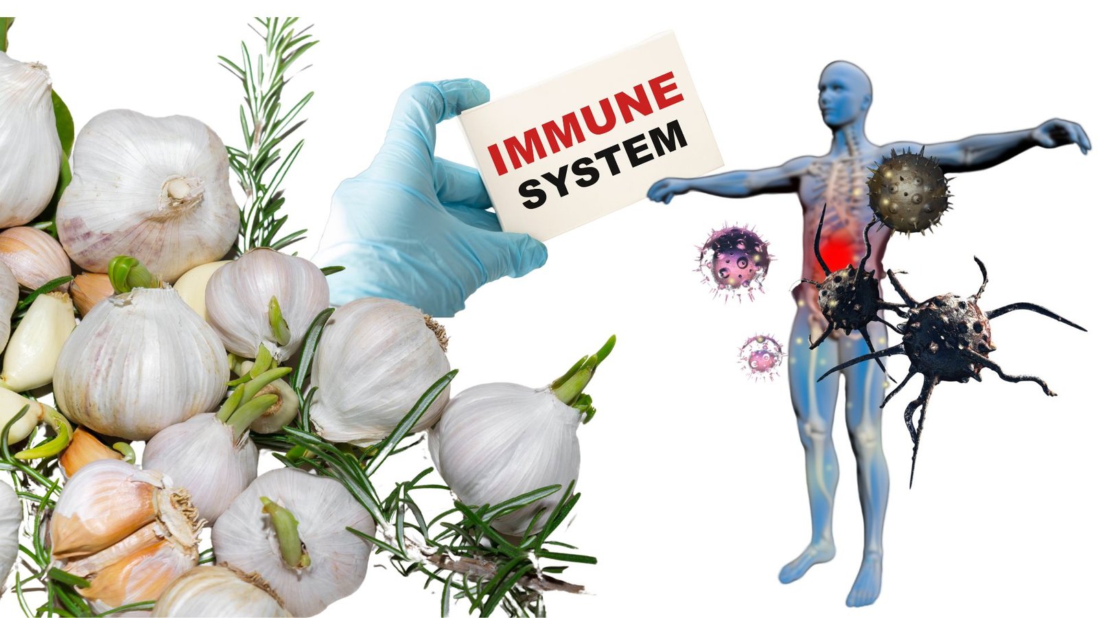 Garlic for Immunity Boost