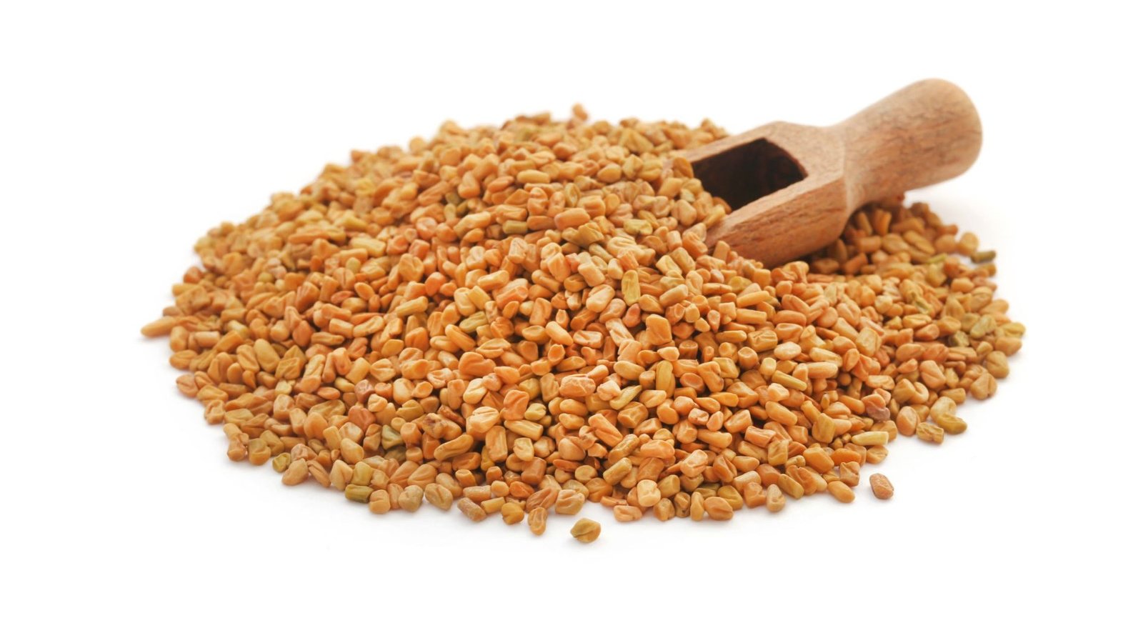 Fenugreek Seeds