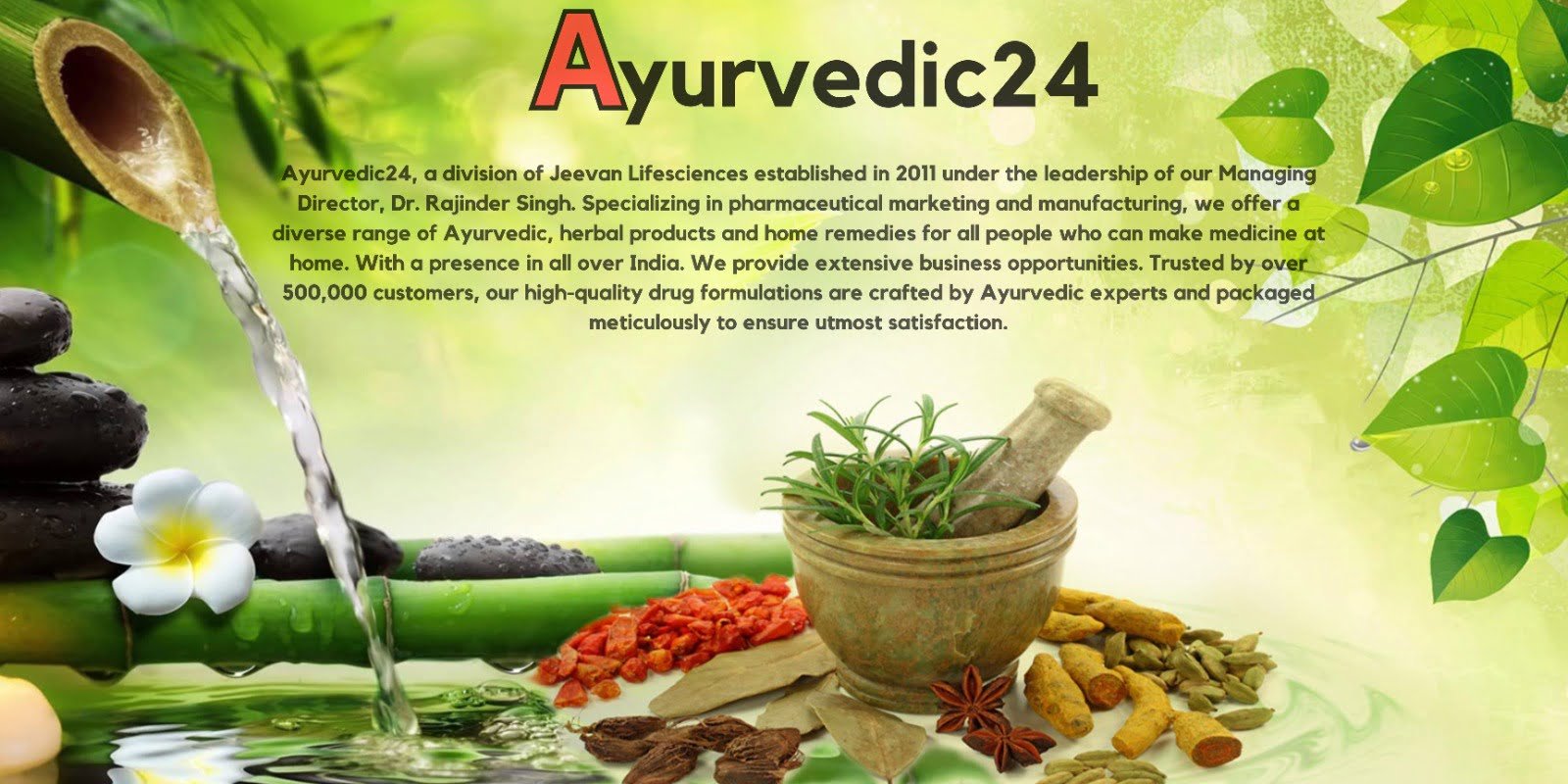 About Ayurvedic24 Blog