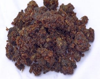 Autoimmune Disorders